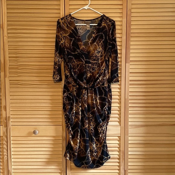 Adult XL Dress main image 0